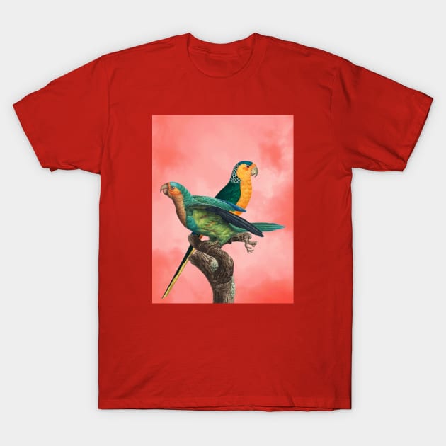 The Birds and the pink sky II T-Shirt by Seven Trees Design